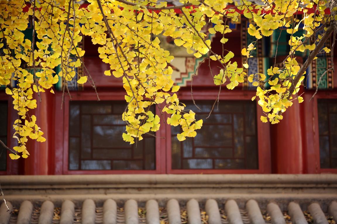 感动 | 确认过眼神，，你是对的人