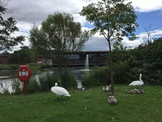 suncitygroup太阳集团·(中国)首页登录