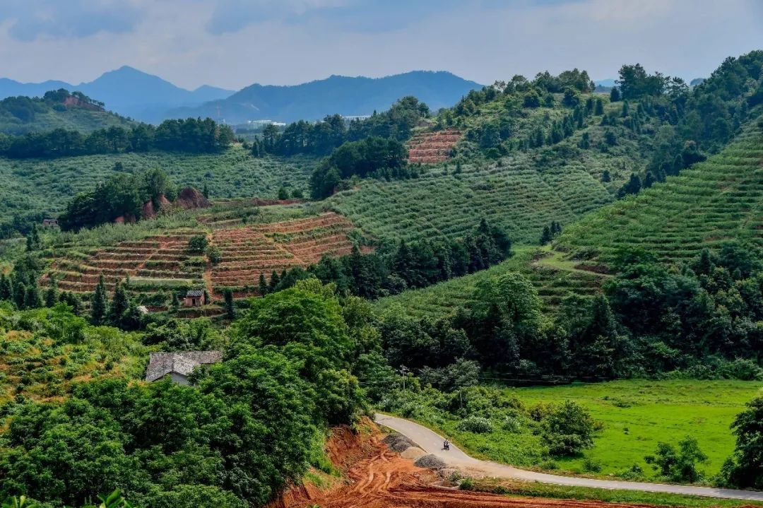 suncitygroup̫š(й)ҳ¼