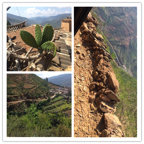 suncitygroup太阳集团·(中国)首页登录