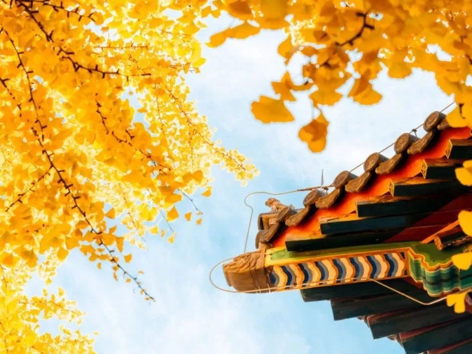 suncitygroup太阳集团·(中国)首页登录