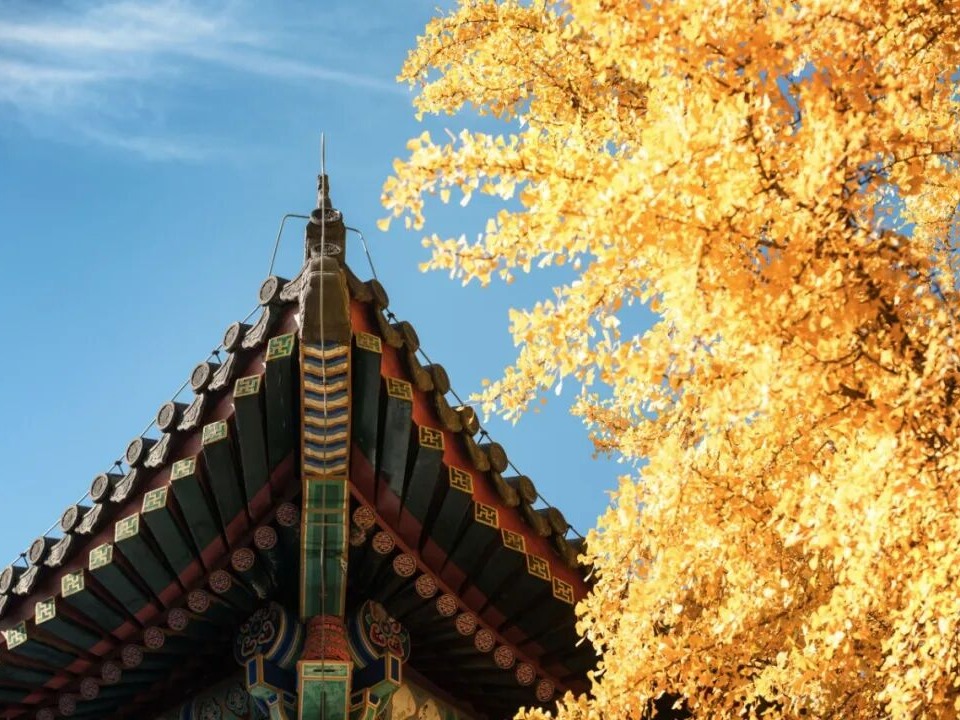 suncitygroup太阳集团·(中国)首页登录