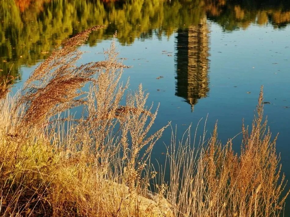 suncitygroup太阳集团·(中国)首页登录