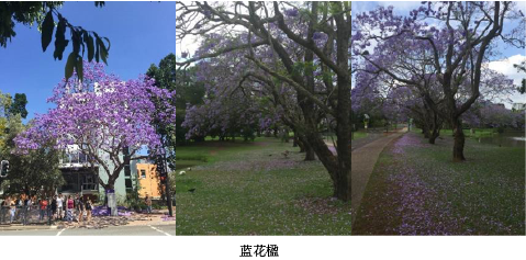 14C93E92369F71445E4403D11CD_5DF5EEF0_3BB28