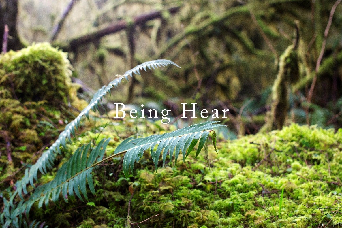 suncitygroup太阳集团·(中国)首页登录