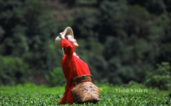 suncitygroup太阳集团·(中国)首页登录