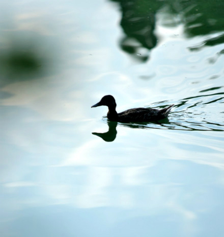 suncitygroup太阳集团·(中国)首页登录