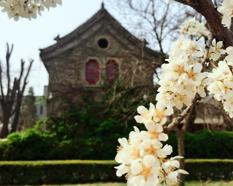 suncitygroup太阳集团·(中国)首页登录