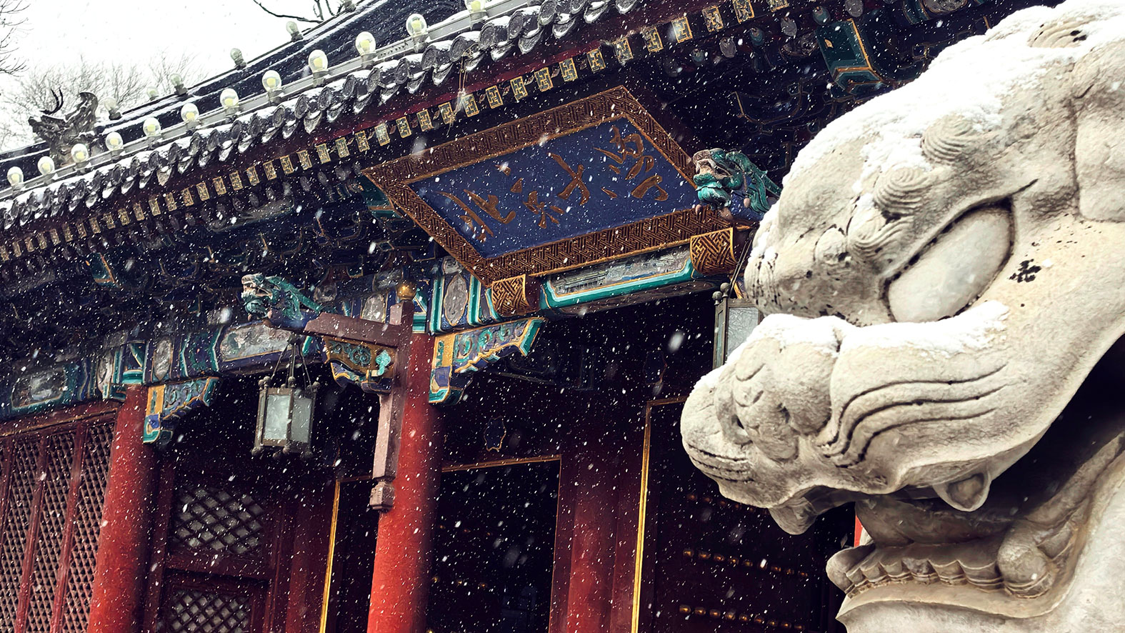 suncitygroup太阳集团·(中国)首页登录